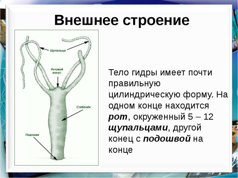 Кракен kr2web in магазин